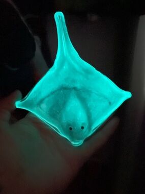Glow in the dark blown glass stingray